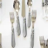 Aladdin Brilliant Flatware 5 Piece Setting