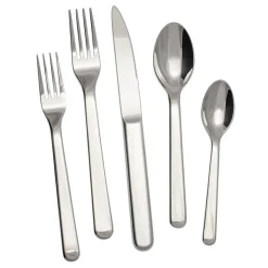 Alkaline Flatware 5 Piece Setting