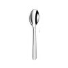 Alkaline Table Spoon