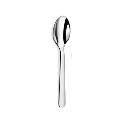 Alkaline Table Spoon