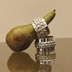 Babylon Silver Plated Napkin Ring Set 4