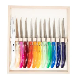 Berlingot Assorted Steak Knives Set of 12