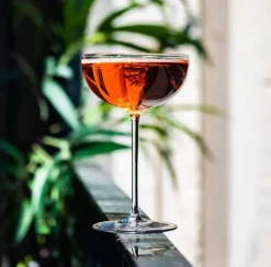 Cocktail Collection Classic Coupe Glass Set of 2