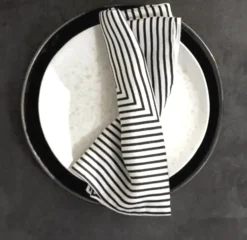 Concorde Napkin Black and Ivory Set of 4