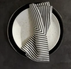 Concorde Napkin Black and Ivory Set of 4