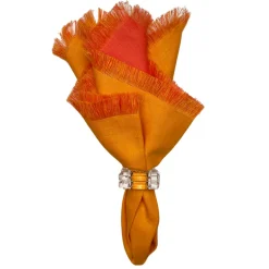 Double Fringe Napkin Set of 4