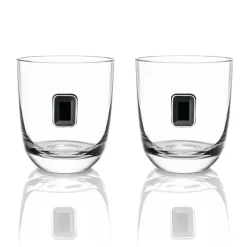 Elevo DOF Obsidian Glasses Set of 2