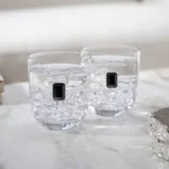 Elevo DOF Obsidian Glasses Set of 2