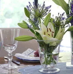 Fanny Country Drinkware