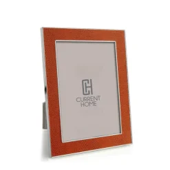 Faux Snake Orange Frame