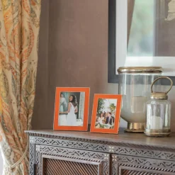 Faux Snake Orange Frame