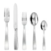Gio Ponti Stainless Steel 5 Piece Setting