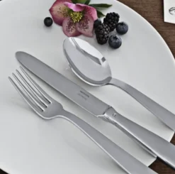 Gio Ponti Stainless Steel 5 Piece Setting