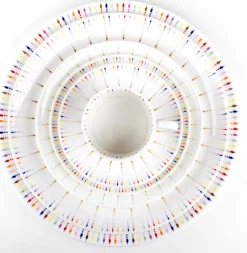 Gül N' Eloïse The Dragon Delicate