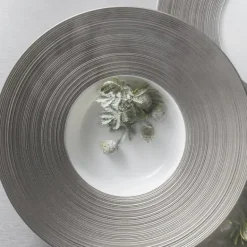 Hemisphere Dinnerware Platinum