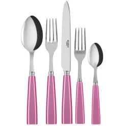 Icone Flatware 5 Piece Setting
