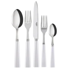 Icone Flatware 5 Piece Setting