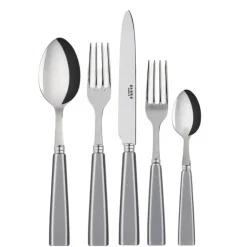 Icone Flatware 5 Piece Setting