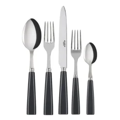 Icone Flatware 5 Piece Setting
