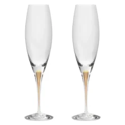 Intermezzo Champagne Glass Gold Set of 2
