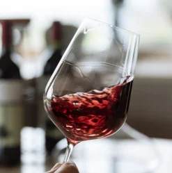 Jancis Robinson Universal Wine Glass Set of 2