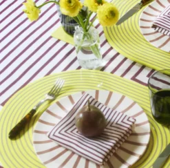 Lacquer Stripe Placemat Set of 4