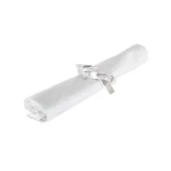 Lucite Knot Napkin Ring Set of 4