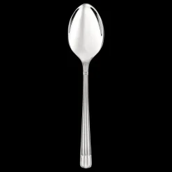 Osiris Stainless Steel Serving Spoon