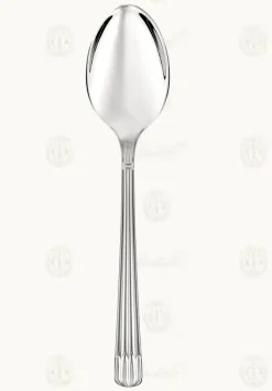 Osiris Stainless Steel Serving Spoon