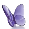 Papillon Lucky Butterfly Purple
