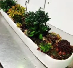 Resin Trough White Long