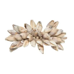 Shell Fringe Napkin Ring Set of 4