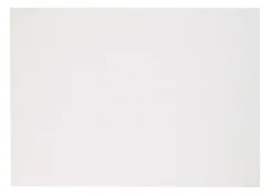 Skate Rectangle Placemat Set of 4