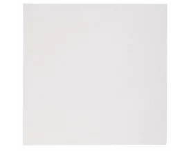 Skate Square Placemat Oyster Set of 4