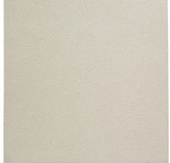 Skate Square Placemat Pearl Set of 4