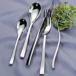 Steel Flatware 5 Piece Setting