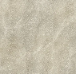 Stingray Handle Tray