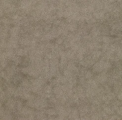 Stingray Handle Tray