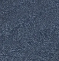 Stingray Handle Tray