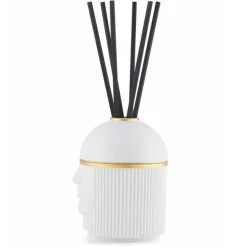 The Amazon Pure White Diffuser