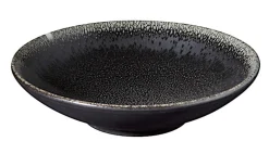 Tourron Dinnerware Celeste