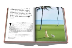 Travel Series - Palm Beach