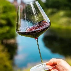 Zalto Burgundy Glass