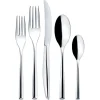 Zeta Stainless Steel Flatware 5 Piece Setting